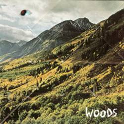 Woods : Songs of Shame